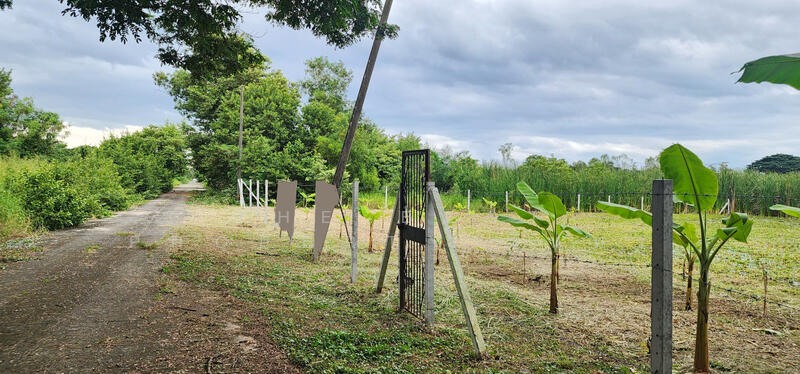 ขาย - เคซีการ์เด้นโฮม 1 นิมิตใหม่ 40, กรุงเทพ