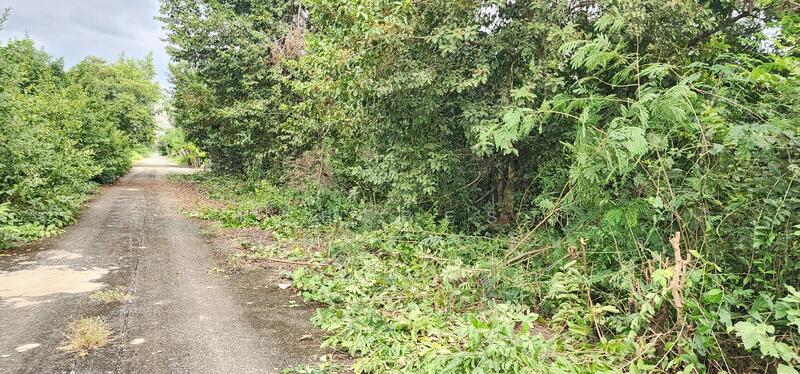 ขาย - เคซีการ์เด้นโฮม 1 นิมิตใหม่ 40, กรุงเทพ