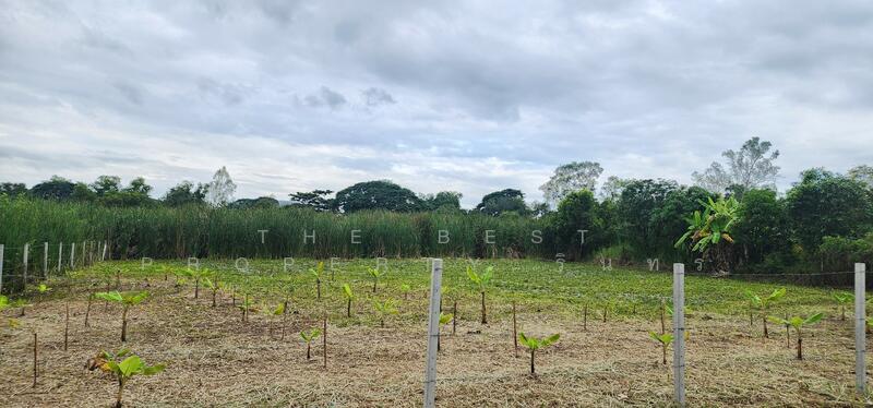 For Sale - เคซีการ์เด้นโฮม 1 นิมิตใหม่ 40, Bangkok