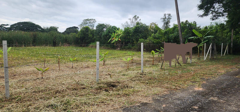 For Sale - เคซีการ์เด้นโฮม 1 นิมิตใหม่ 40, Bangkok