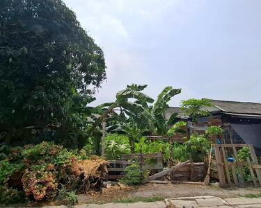 ขาย - ที่ดินบางกะดี่ ปทุมธานี, ปทุมธานี