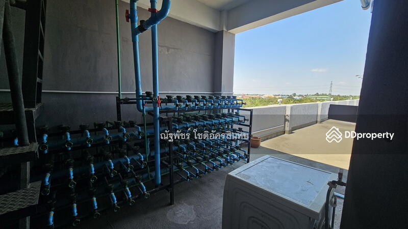 ขาย - @Samut Sakorn Condo : แอทสมุทรสาครคอนโด, สมุทรสาคร