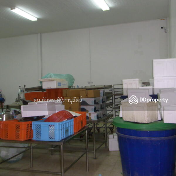For Rent - โรงงาน-โกดัง เอกชัย, Samut Sakhon