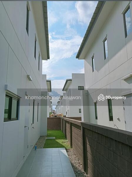ให้เช่า - Palm Ville New Sankamphaeng : ปาล์มวิลล์ ถนนสันกำแพงสายใหม่, เชียงใหม่