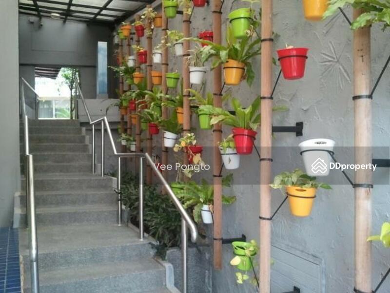 ขาย - Hin Nam Sai Suay : หินน้ำทรายสวย, ประจวบคีรีขันธ์