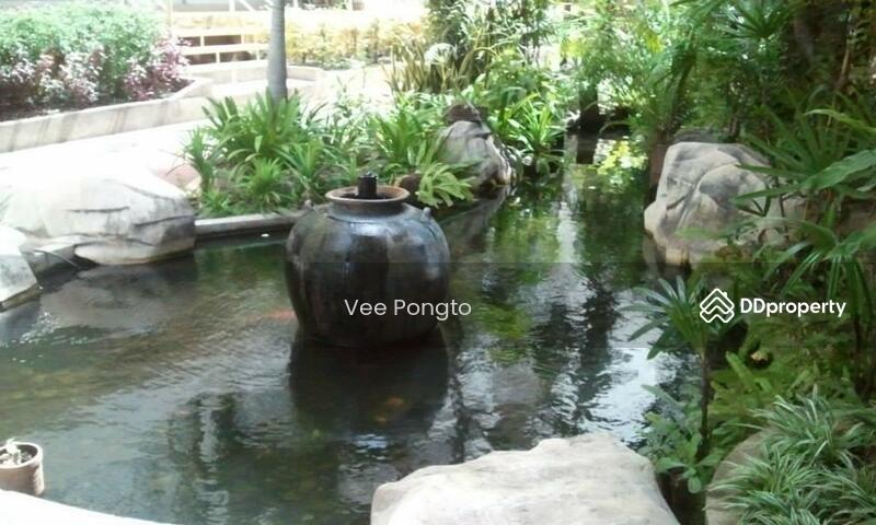 ขาย - Hin Nam Sai Suay : หินน้ำทรายสวย, ประจวบคีรีขันธ์