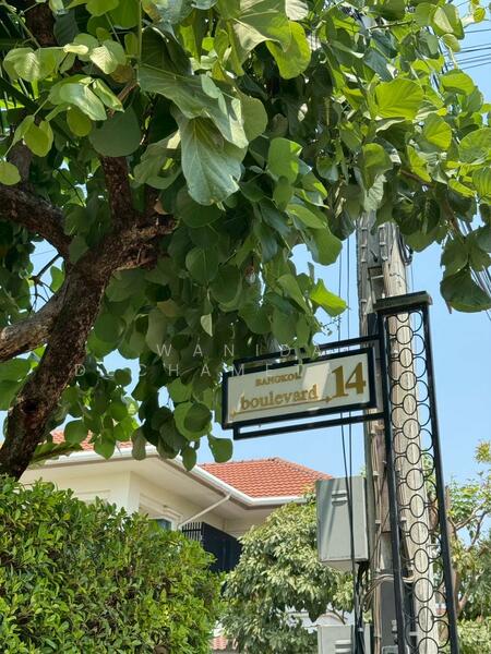 Bangkok Boulevard Ratchapruek – Rama 5 (2) : บางกอก บูเลอวาร์ด ราชพฤกษ์ – พระราม 5 (2), นนทบุรี, ถนนราชพฤกษ์, บางกร่าง, เมืองนนทบุรี, นนทบุรี, 328 ตร.ม., บ้านเดี่ยว ขาย, โดย Wanida Dechametarkul, 11825683 - DDproperty.com