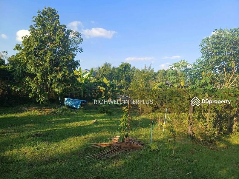For Sale - Land for sale on Koh Chang, 1 rai, on a four-lane road, 700 meters from Koh Chang Hospital., Chon Buri