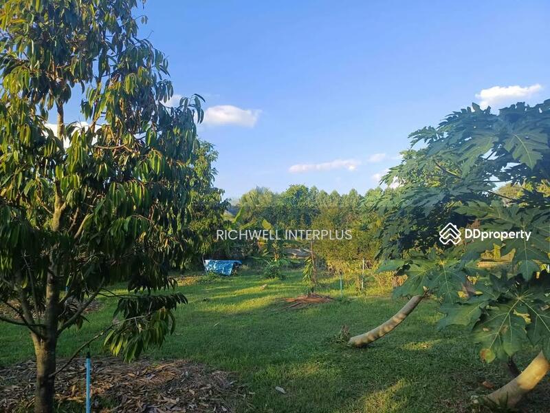 For Sale - Land for sale on Koh Chang, 1 rai, on a four-lane road, 700 meters from Koh Chang Hospital., Chon Buri