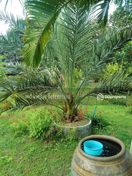For Sale - Land for sale on Koh Chang, 1 rai, on a four-lane road, 700 meters from Koh Chang Hospital., Chon Buri
