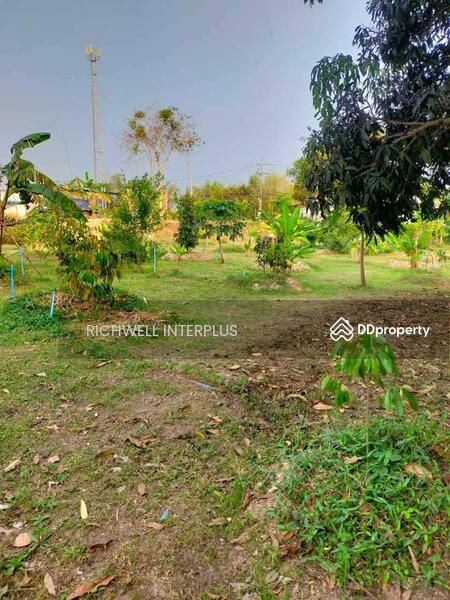 For Sale - Land for sale on Koh Chang, 1 rai, on a four-lane road, 700 meters from Koh Chang Hospital., Chon Buri