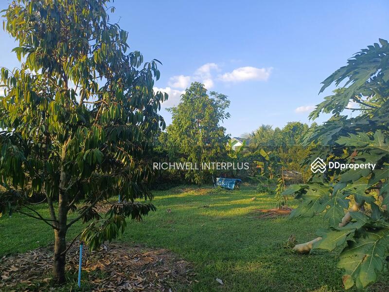 For Sale - Land for sale on Koh Chang, 1 rai, on a four-lane road, 700 meters from Koh Chang Hospital., Chon Buri