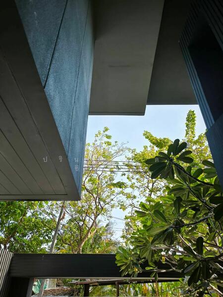 L SCAPE Ratchada 20 : แอล สเคป รัชดา 20, กรุงเทพ, สามเสนนอก, ห้วยขวาง, กรุงเทพ, 228 ตร.ม., ทาวน์เฮ้าส์ ให้เช่า, โดย ปรินทร์ญาดา ชิณโชติ, 11827955 - DDproperty.com