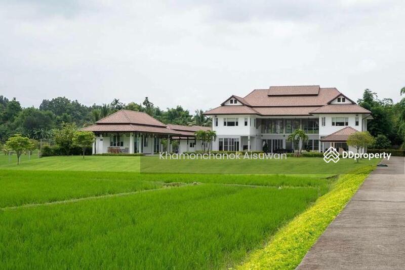ขาย - Stunning Luxurious House close to Prem International School, เชียงใหม่