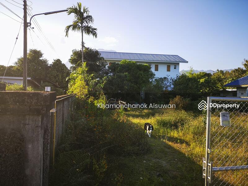 For Sale - Exclusive Custom Built House For Sale. Reduced Sale Price., Chiang Mai
