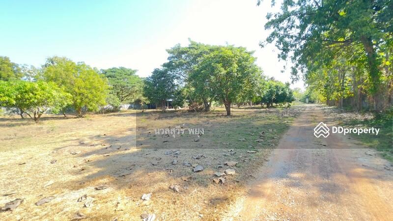For Sale - สุโขทัย, Sukhothai