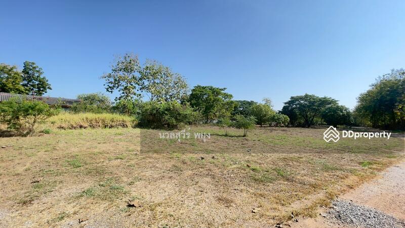 For Sale - สุโขทัย, Sukhothai
