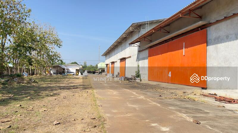 For Sale - สุโขทัย, Sukhothai