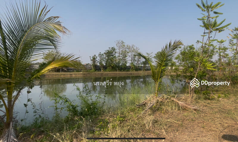 For Sale - สุโขทัย, Sukhothai