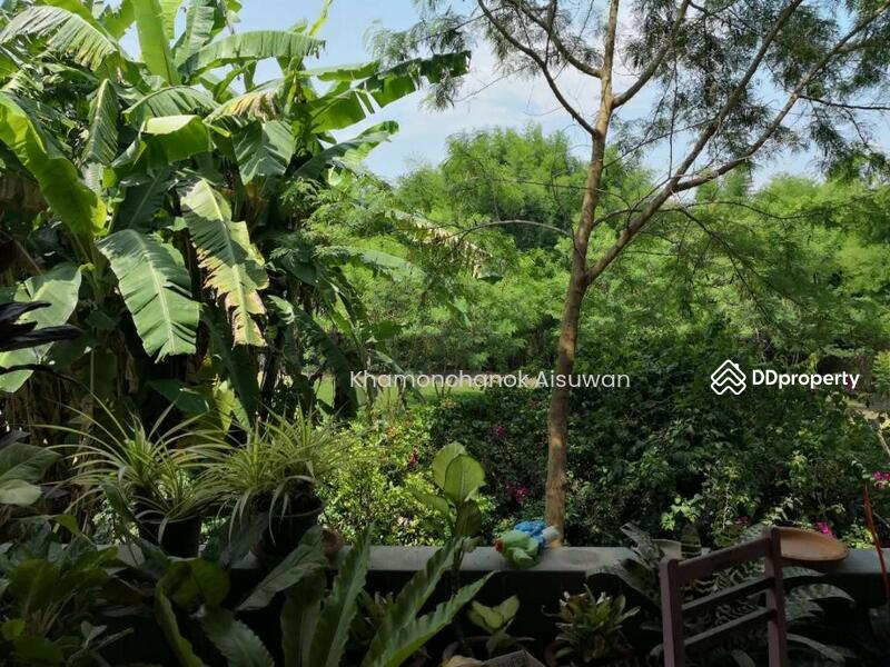 ขาย - Independent Land And House In Prem, เชียงใหม่