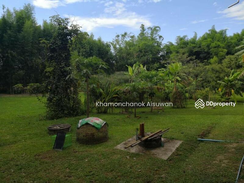 ขาย - Independent Land And House In Prem, เชียงใหม่