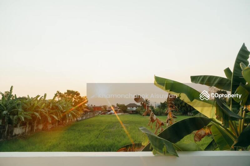 ให้เช่า - Pool Villa for Rent in San Sai, เชียงใหม่