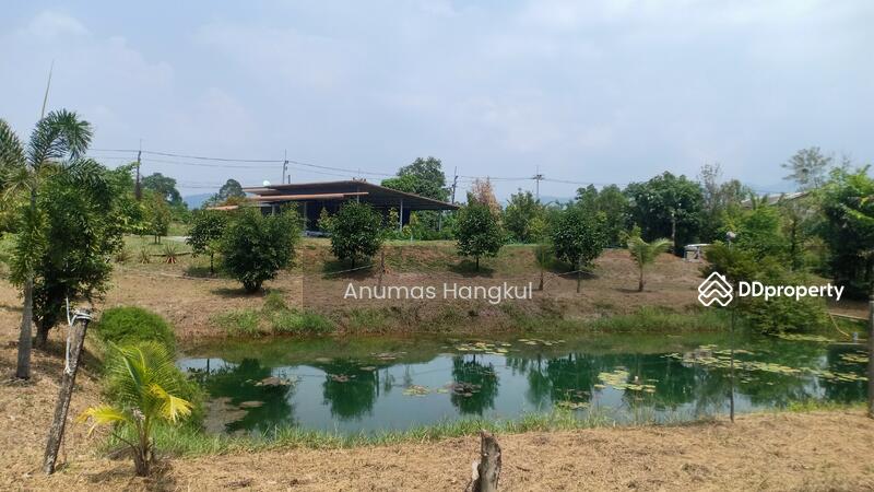 ขาย - บ้านสวน ดอนตาล, จันทบุรี