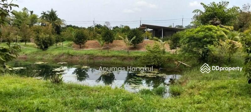 ขาย - บ้านสวน ดอนตาล, จันทบุรี