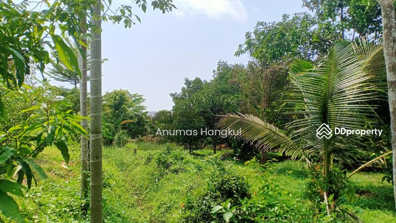 ขาย - บ้านสวน ดอนตาล, จันทบุรี
