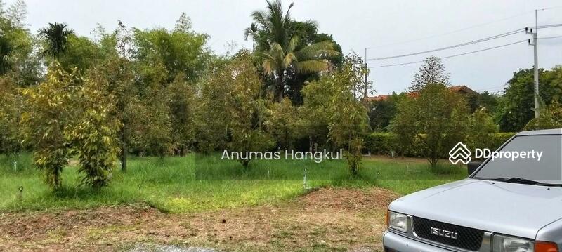 ขาย - บ้านสวน ดอนตาล, จันทบุรี