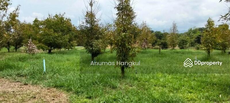 ขาย - บ้านสวน ดอนตาล, จันทบุรี