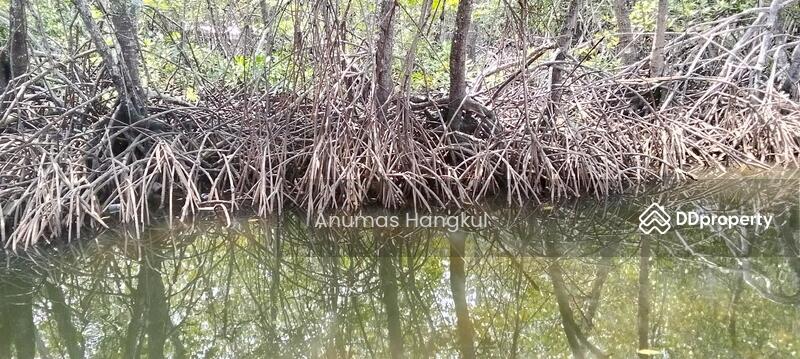 For Sale - บ้านโบราณ หนองบัว, Chanthaburi