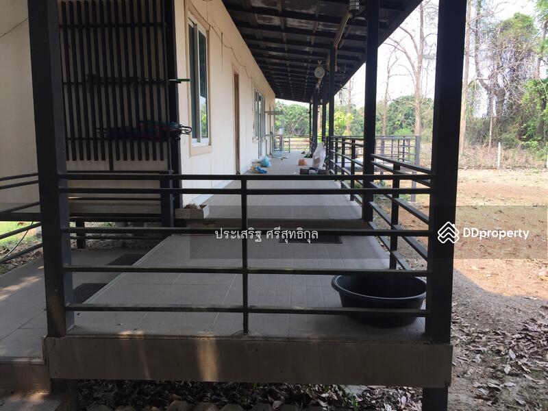 ขาย - แม่ทา, ลำพูน
