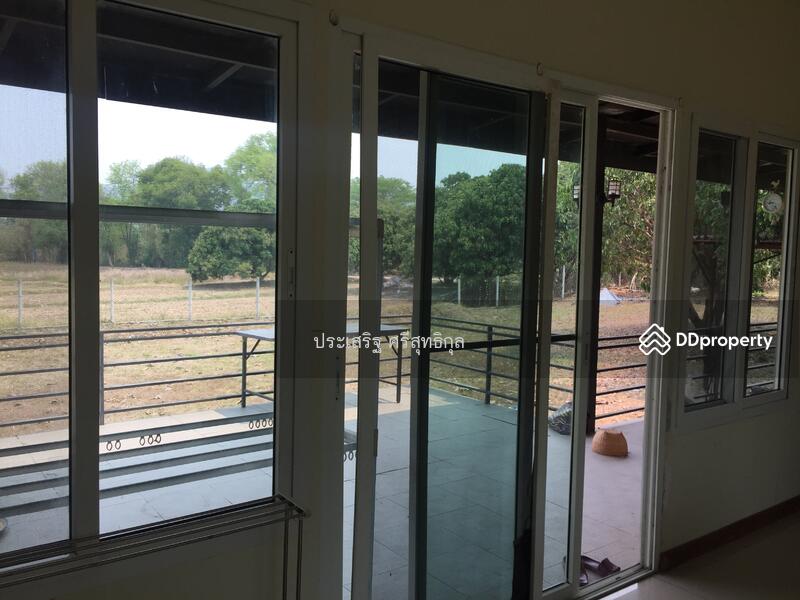 For Sale - แม่ทา, Lamphun