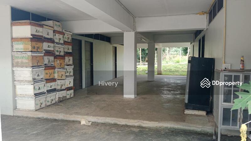 For Rent - สอยดาว, Chanthaburi