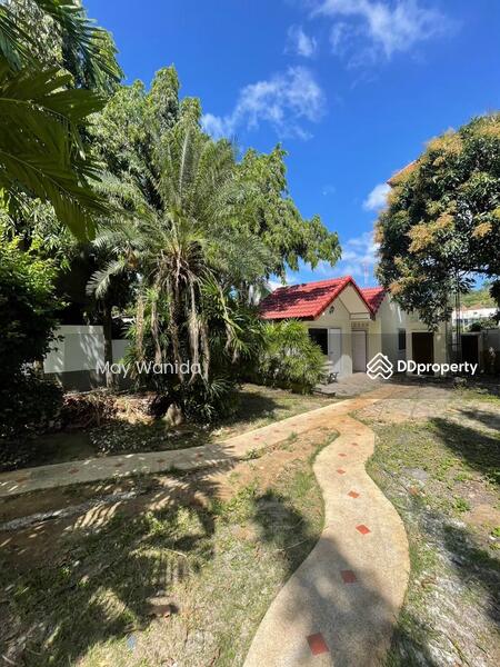 ขาย - 4 Bedrooms 2 Story House Patak Road for Sale, ภูเก็ต
