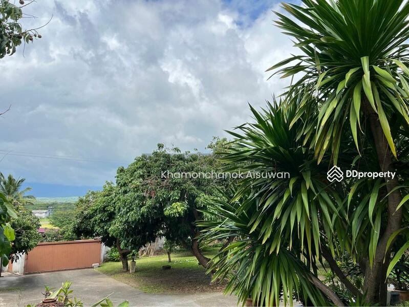 ให้เช่า - House with Private Pool and Big Garden for Rent, เชียงใหม่
