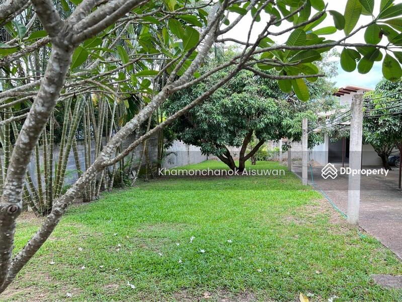 ให้เช่า - House with Private Pool and Big Garden for Rent, เชียงใหม่