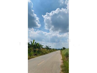 ขาย - ขาย ที่ดินชะอำ 4 ไร่ 1 งาน 62 ตร.ว. ไร่ใหม่พัฒนา, เพชรบุรี