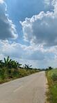ขาย ที่ดินชะอำ 4 ไร่ 1 งาน 62 ตร.ว. ไร่ใหม่พัฒนา, เพชรบุรี