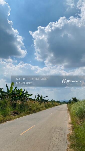 For Sale - Land for sale Cha Am 4 Rai 1 Ngan 62 Sq.w. Rai Mai Pattana, Phetchaburi
