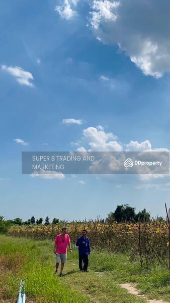For Sale - Land for sale Cha Am 4 Rai 1 Ngan 62 Sq.w. Rai Mai Pattana, Phetchaburi
