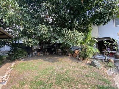 ขาย - ขาย ที่ดิน ลาดพร้าว ซอยลาดพร้าว 70 เนื้อที่ 152 ตร.วา ทำเลดี, กรุงเทพ