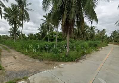ขาย - ขายที่ดินหนองขาม 21 ไร่ ติดถนน2ด้าน ใกล้สนามบินหนองค้อ-2.4กม. อ.ศรีราชา, ชลบุรี