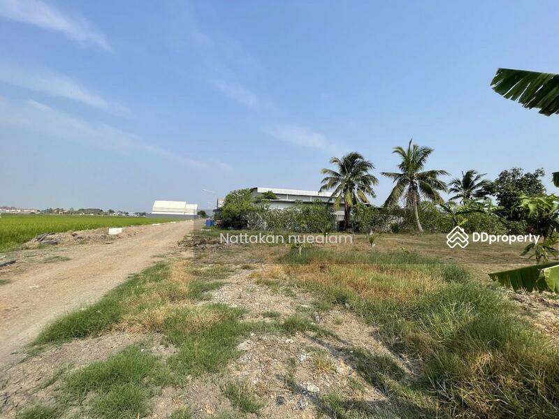 ขาย - ซอยลำลูกกา97, ปทุมธานี