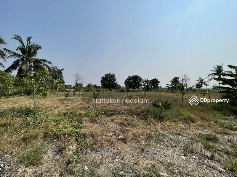 ขาย - ซอยลำลูกกา97, ปทุมธานี