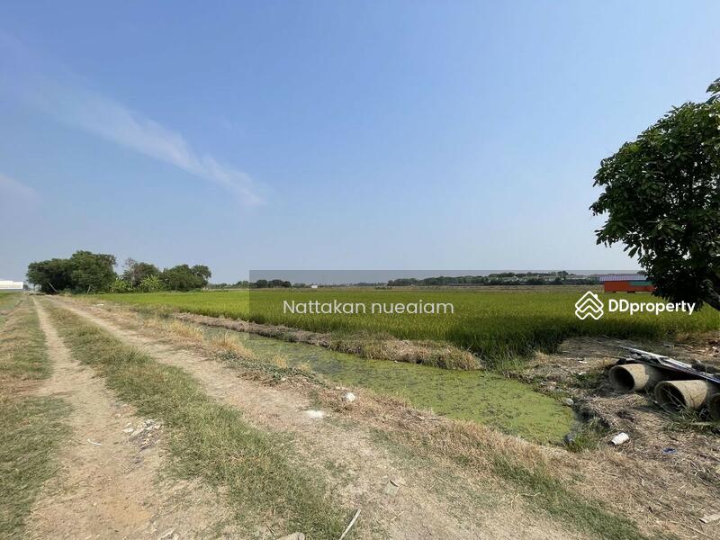 ขาย - ซอยลำลูกกา97, ปทุมธานี