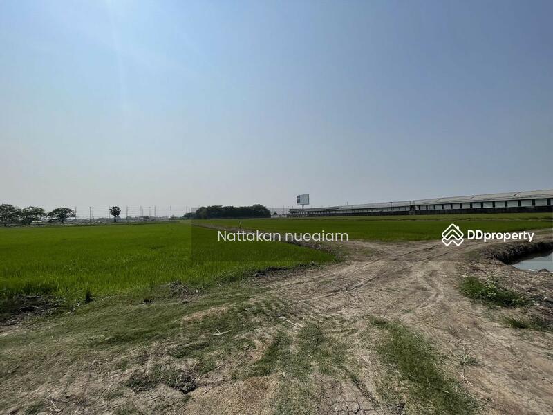 ขาย - ซอยลำลูกกา97, ปทุมธานี