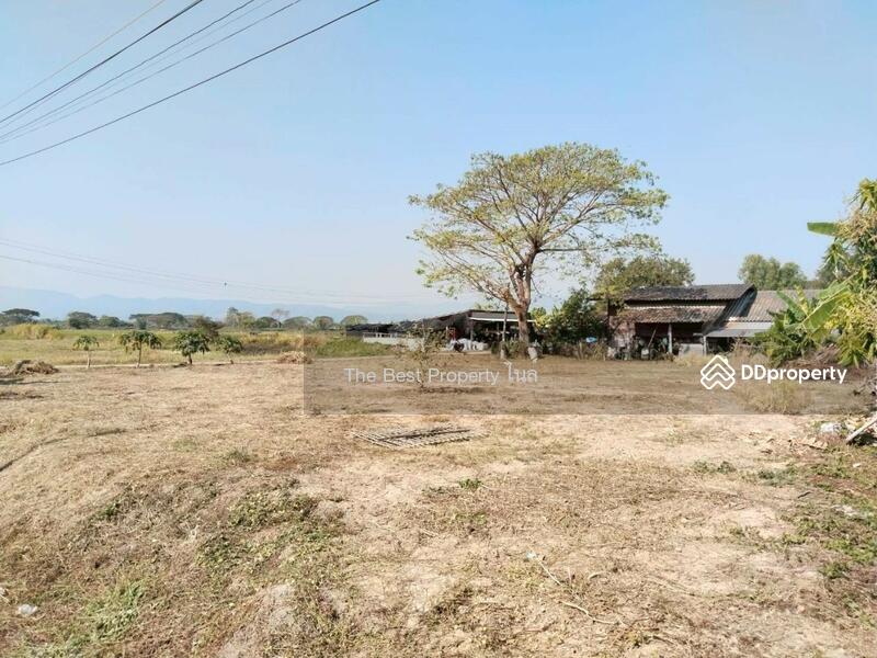 ขาย - ที่ดินพาน เชียง, เชียงราย