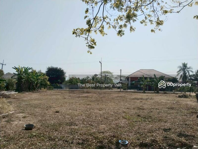 ขาย - ที่ดินพาน เชียง, เชียงราย